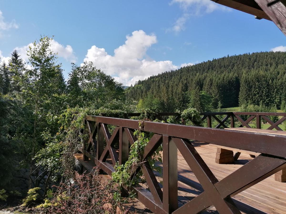 Gosciniec Janowa Gora - Agroturystyka Stronie Śląskie Exterior foto