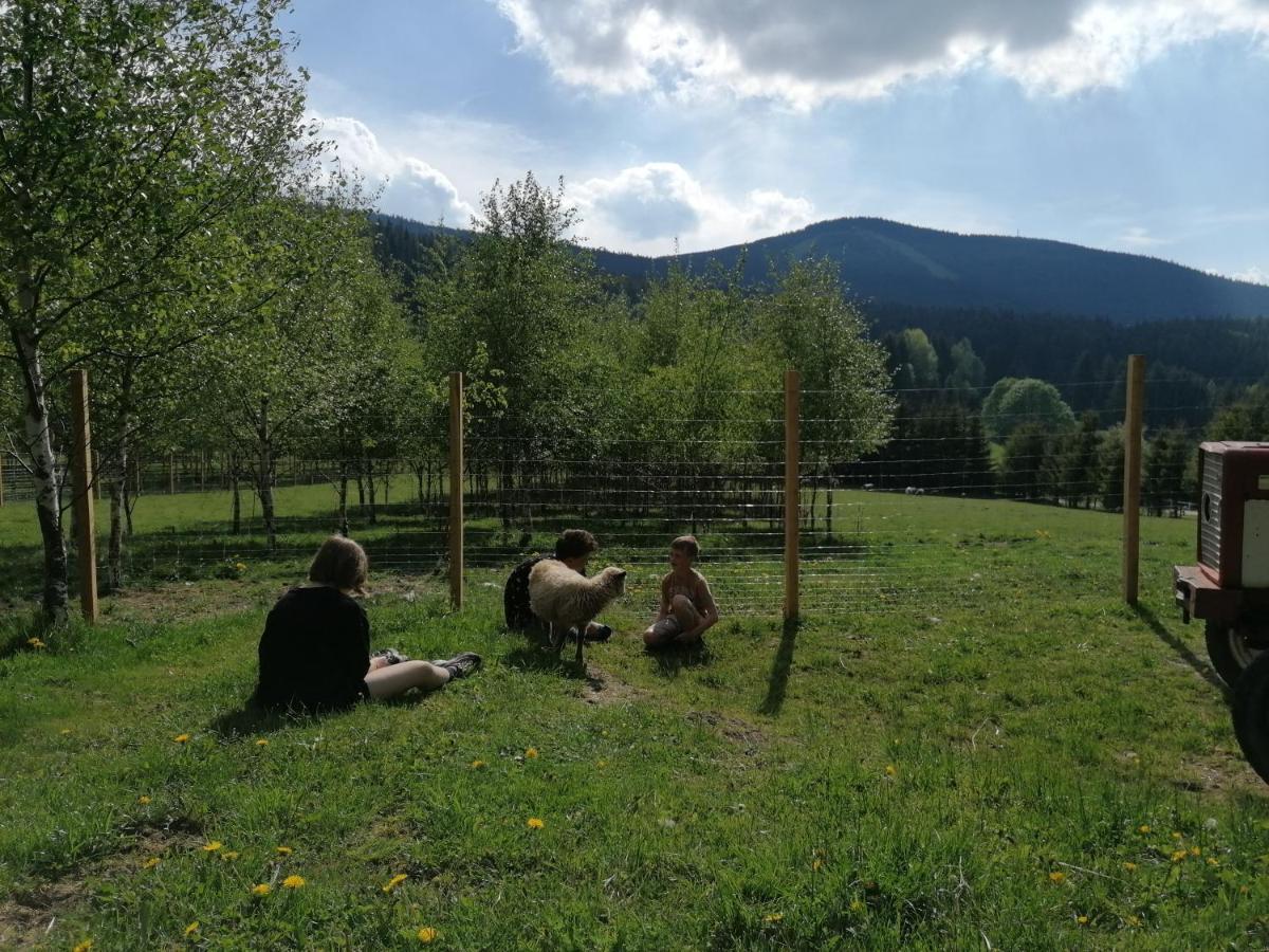 Gosciniec Janowa Gora - Agroturystyka Stronie Śląskie Exterior foto