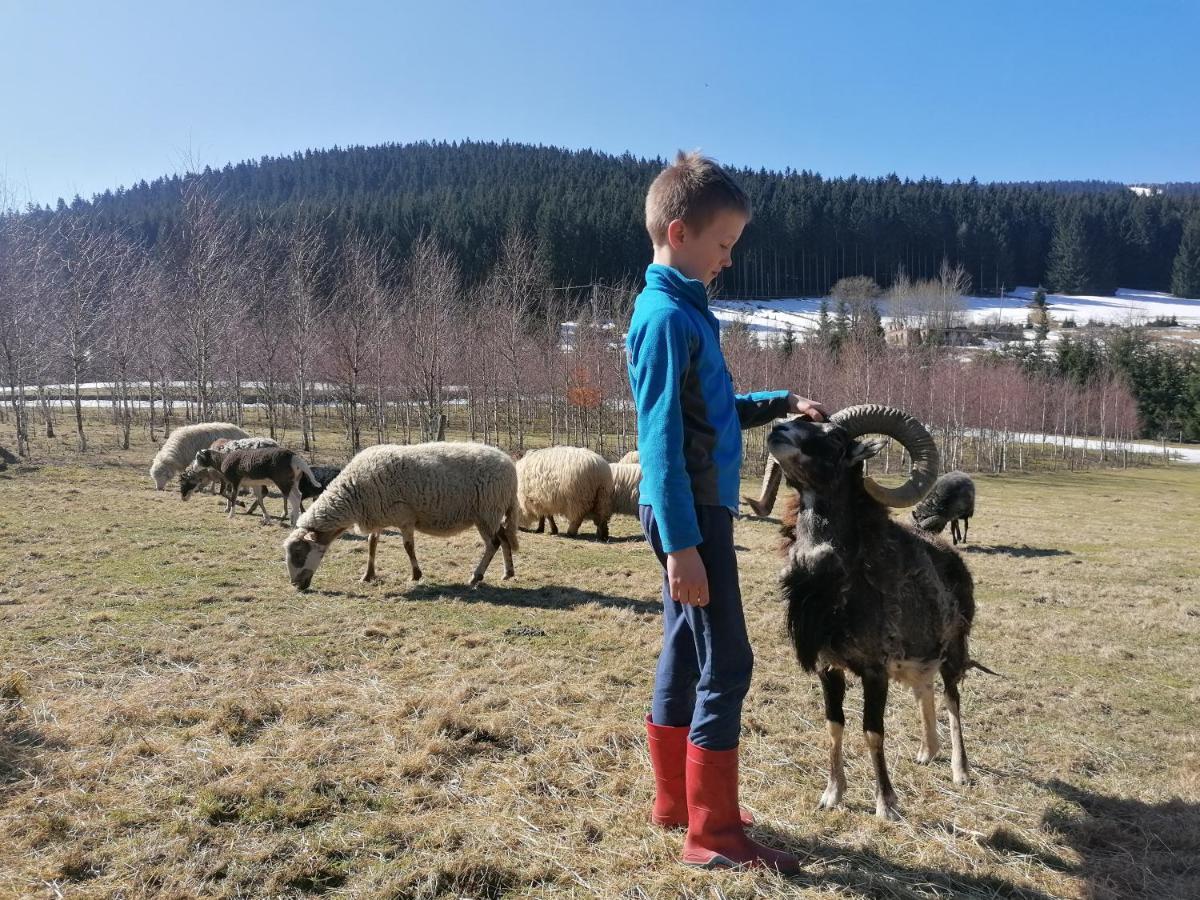 Gosciniec Janowa Gora - Agroturystyka Stronie Śląskie Exterior foto