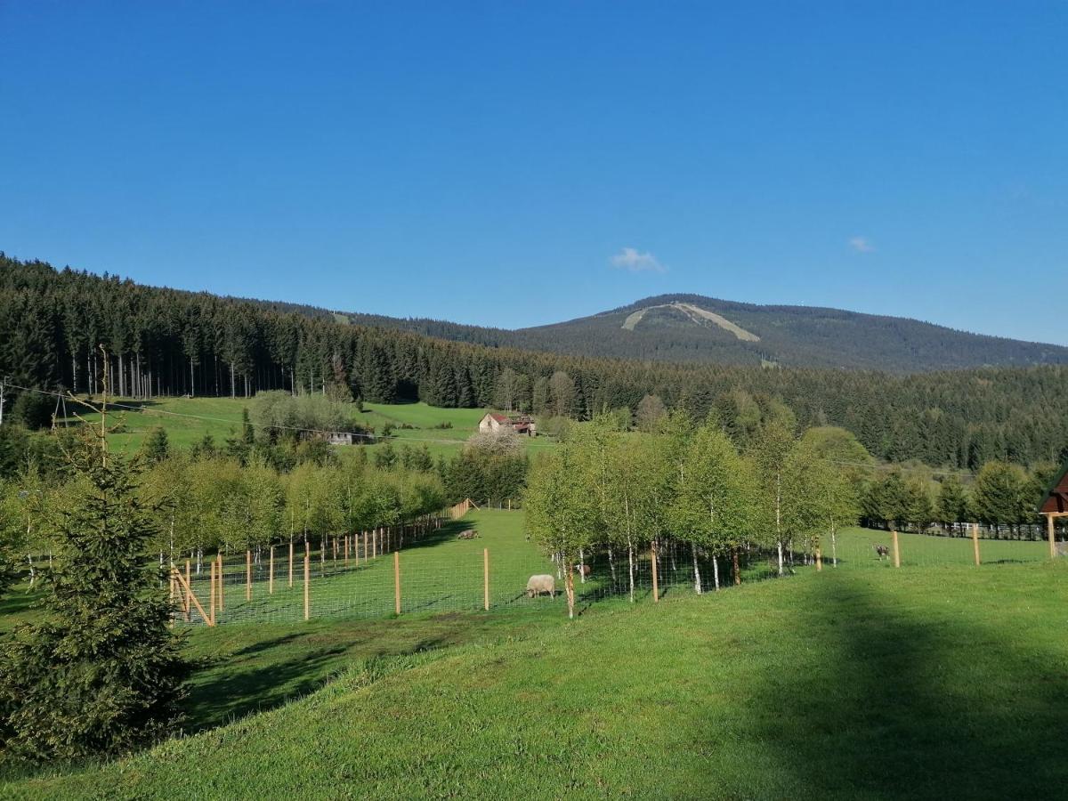 Gosciniec Janowa Gora - Agroturystyka Stronie Śląskie Exterior foto