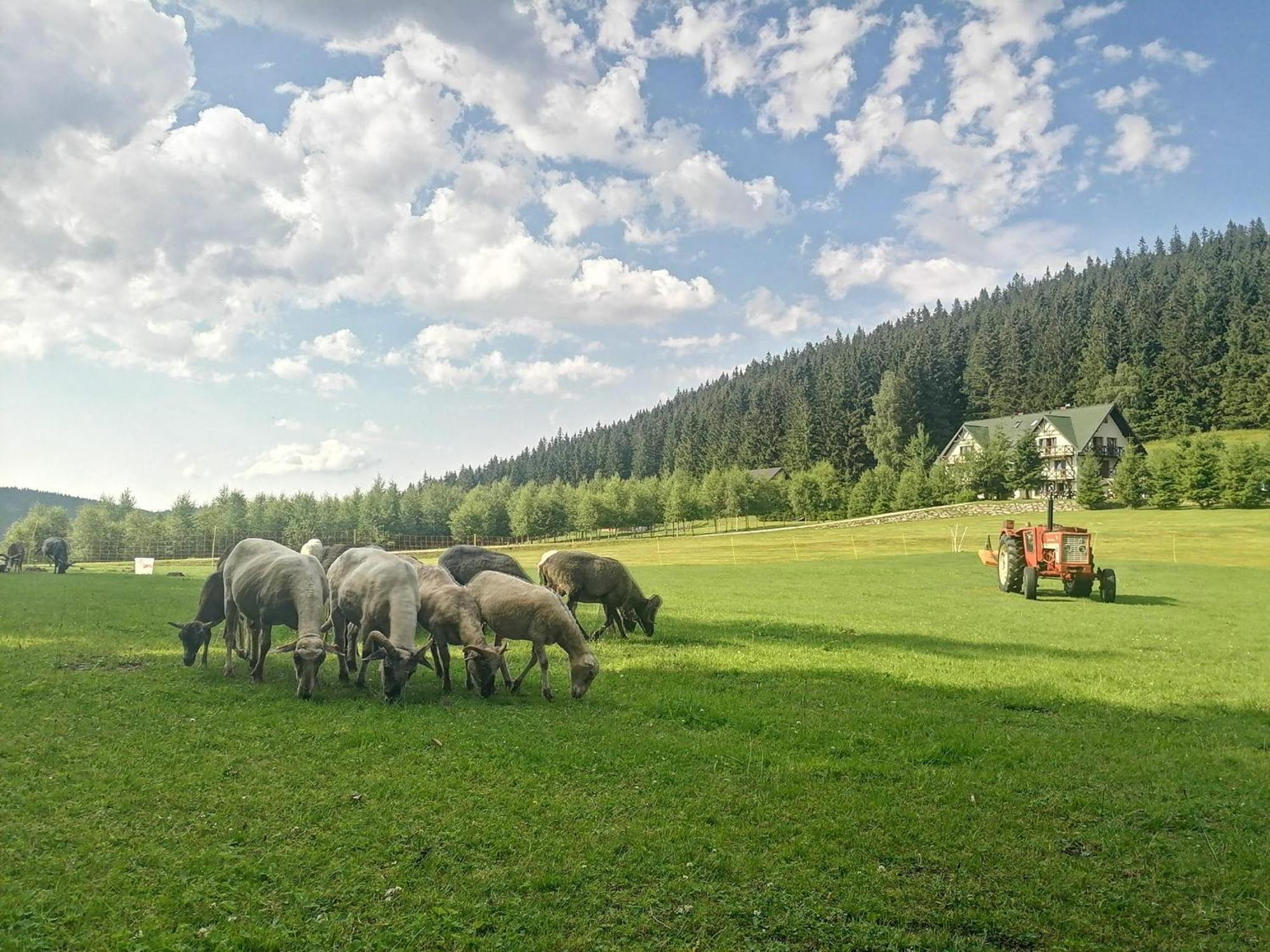 Gosciniec Janowa Gora - Agroturystyka Stronie Śląskie Zimmer foto